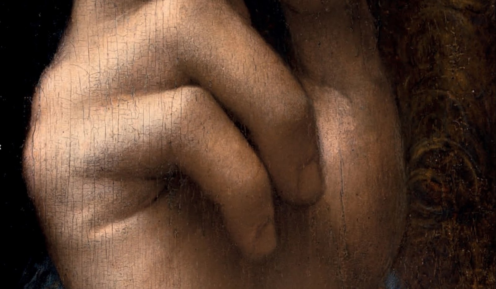 Leonardo+da+Vinci-1452-1519 (862).jpg
